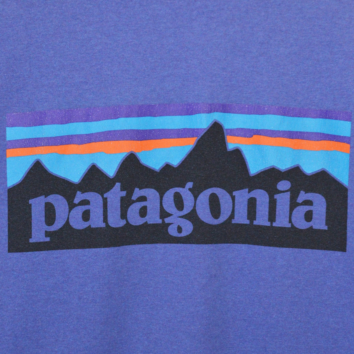 PATAGONIA ТЕНИСКА (L)